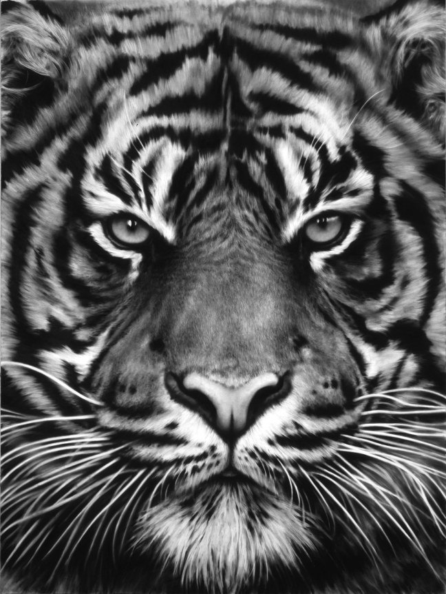 Untitled (Tiger Head, No. 8), 2012.