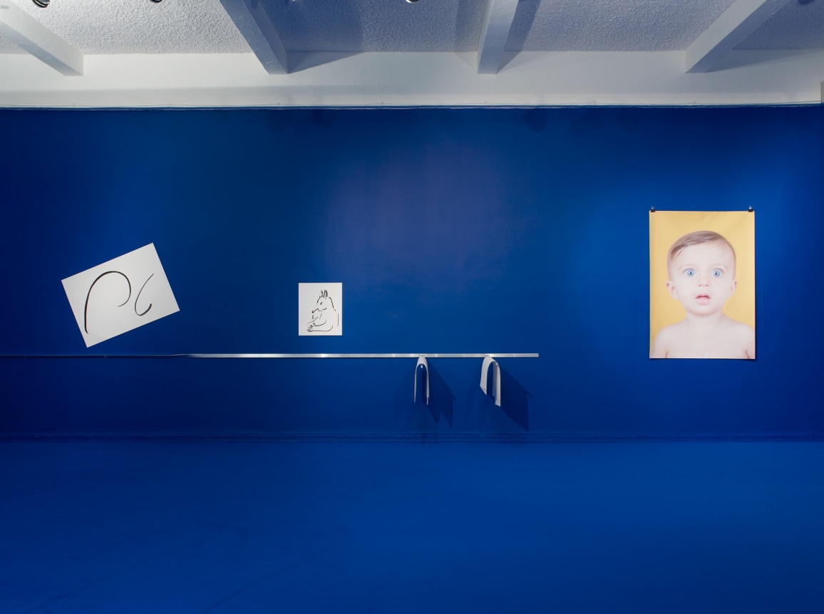 The Pale Fox. Installation view, 2014. Chisenhale Gallery, London.