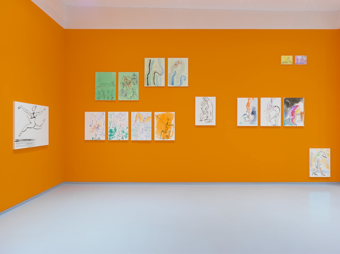 Born, Never Asked. Installation view, 2018. Metro Pictures, New York.