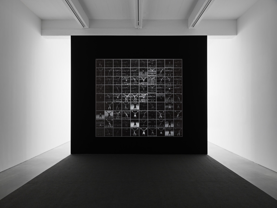 Behold these Glorious Times!, 2017, single channel color video projection, stereo mix