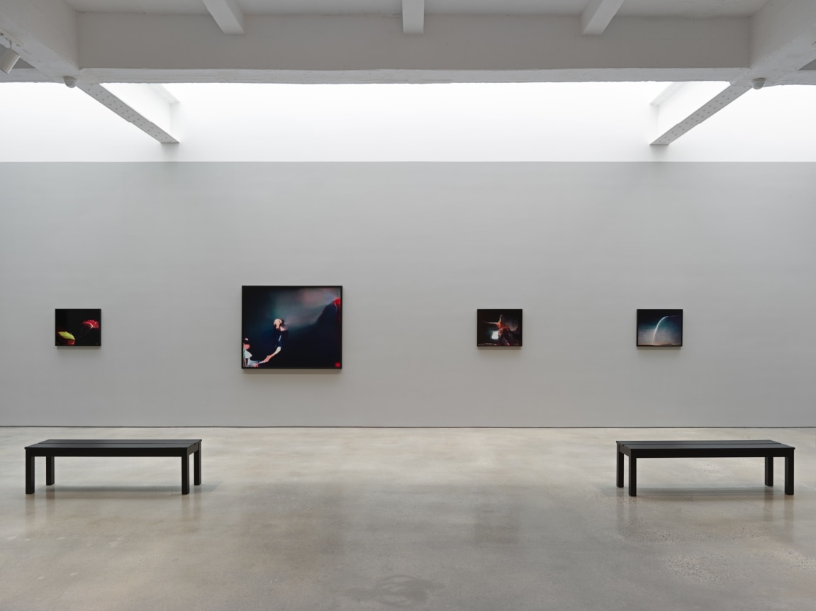 A Study of Invisible Images. Installation view, 2017. Metro Pictures, New York.