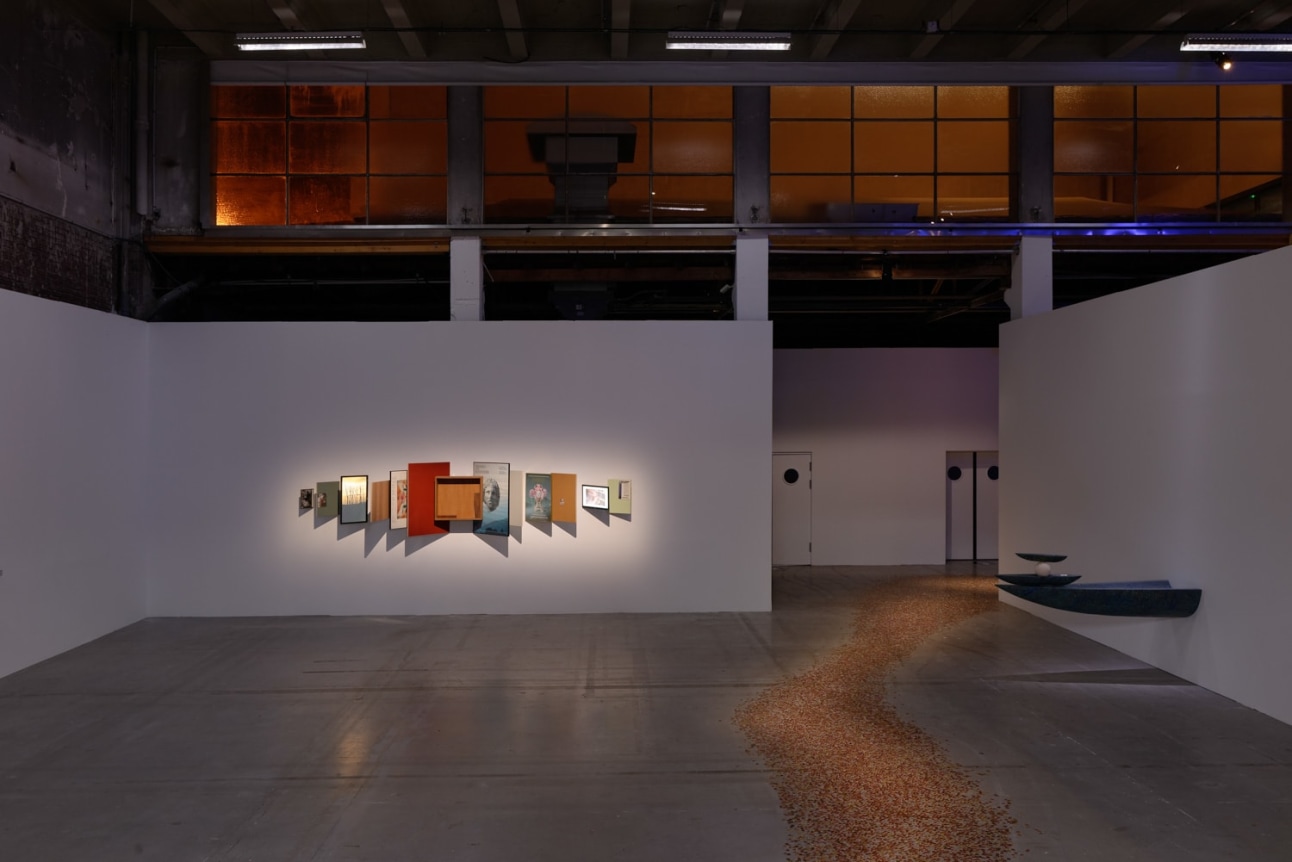 Days are Dogs. Installation view, 2017. Palais de Tokyo, Paris. Photo: Aurélien Mole.