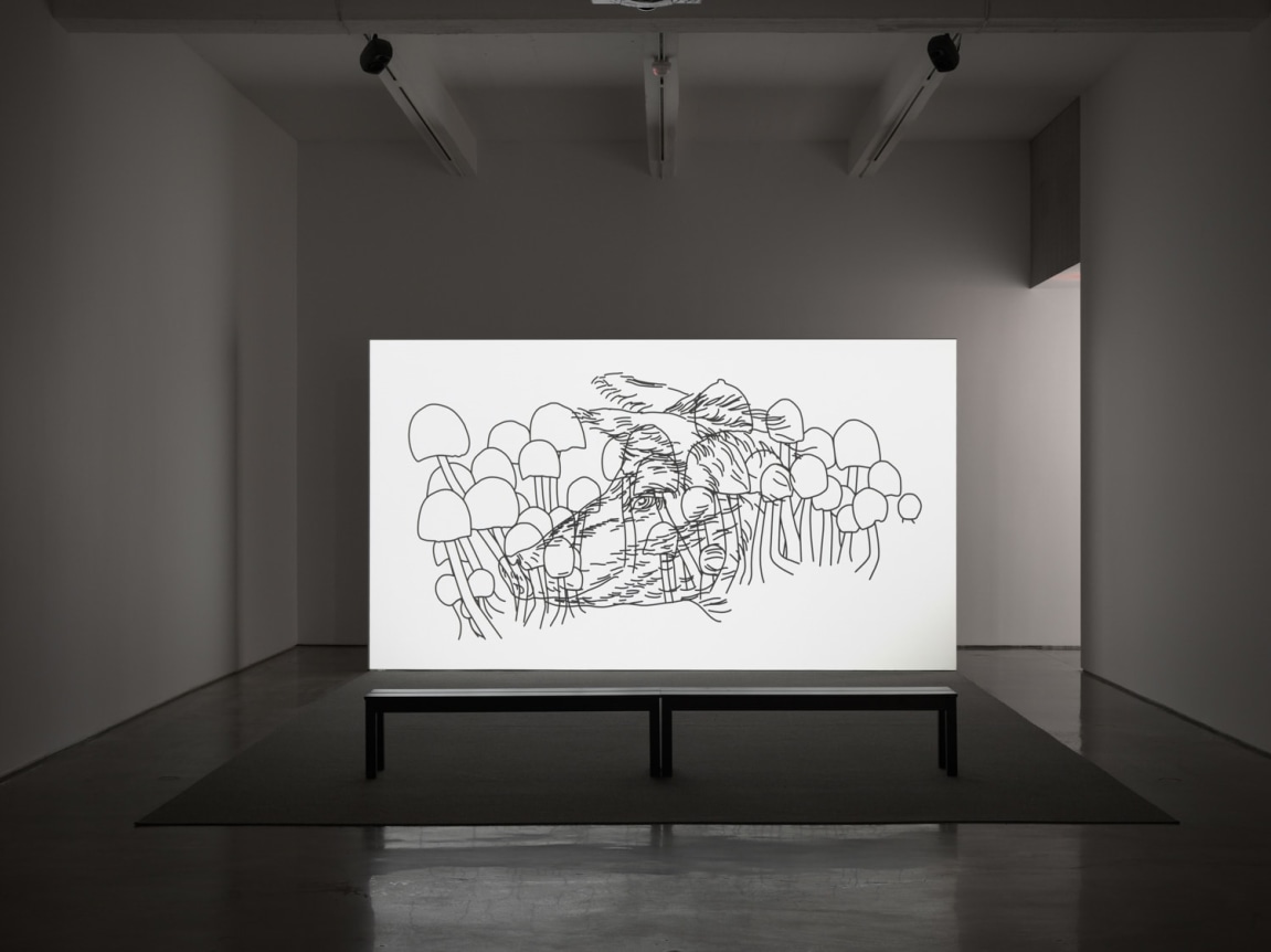 Year of The Dog. Installation view, 2018. Metro Pictures, New York.