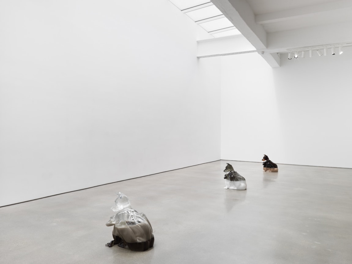 Year of The Dog. Installation view, 2018. Metro Pictures, New York.