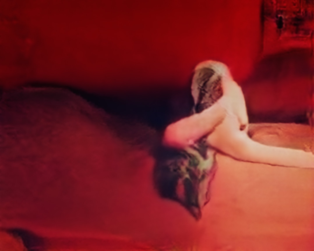 Porn (Corpus: The Humans), Adversarially Evolved Hallucination, 2017