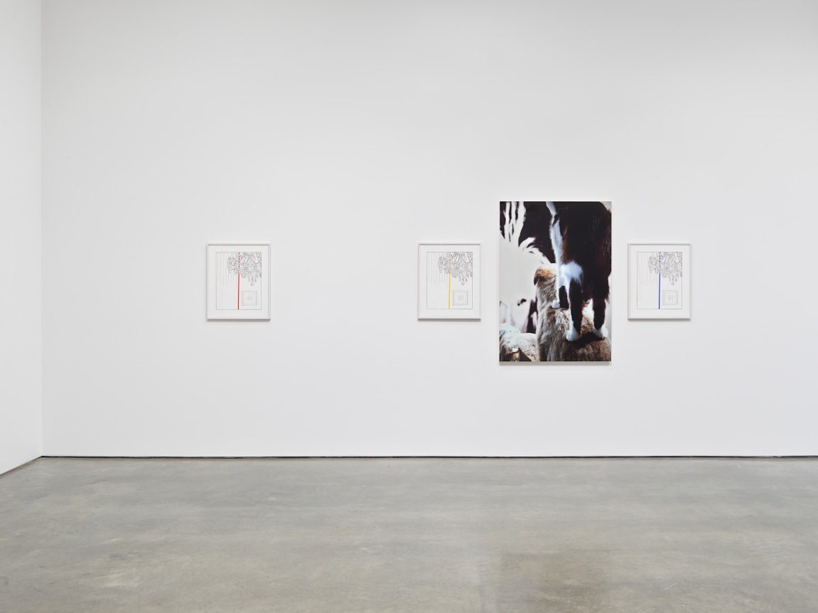 One Show on Top of the Other. Installation view, 2021. Metro Pictures, New York.
