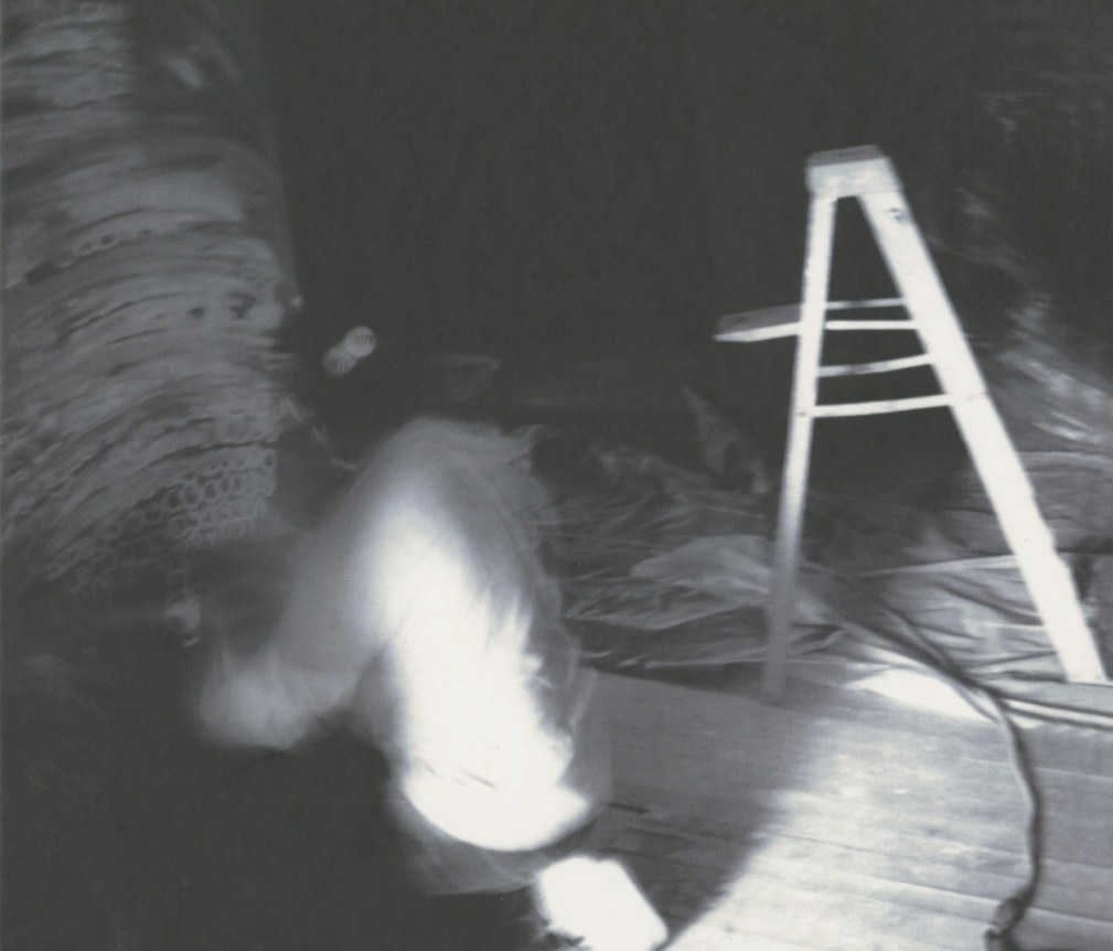 This catalogue was published in 2001 in conjunction with Gary Simmons: Ghost House,