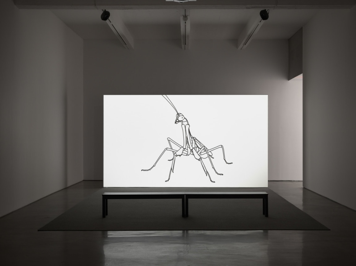 Year of The Dog. Installation view, 2018. Metro Pictures, New York.