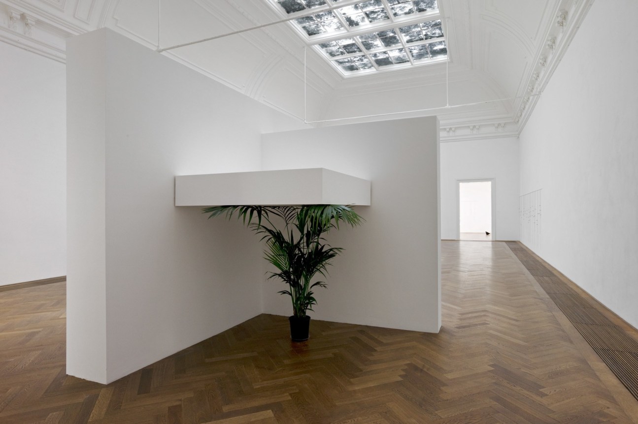 Untitled, 2012. Plant (any species of banana or palm), Wood, Dimensions variable (contingent on corner with install), Plant should be approx 170 cm tall but "suppressed" by shelf above. Installation view, 2012. Kunsthalle Basel.