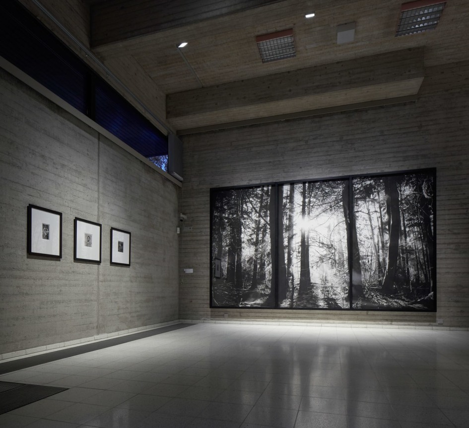 Installation view, 2017. Sara Hildén Art Museum, Tampere, Finland.