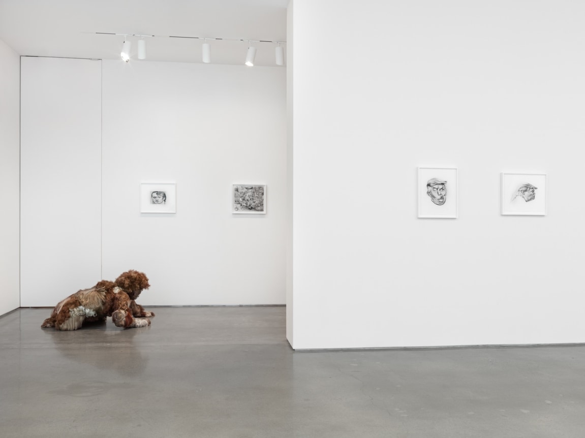 Jim Shaw. Installation view, 2017. Metro Pictures, New York.