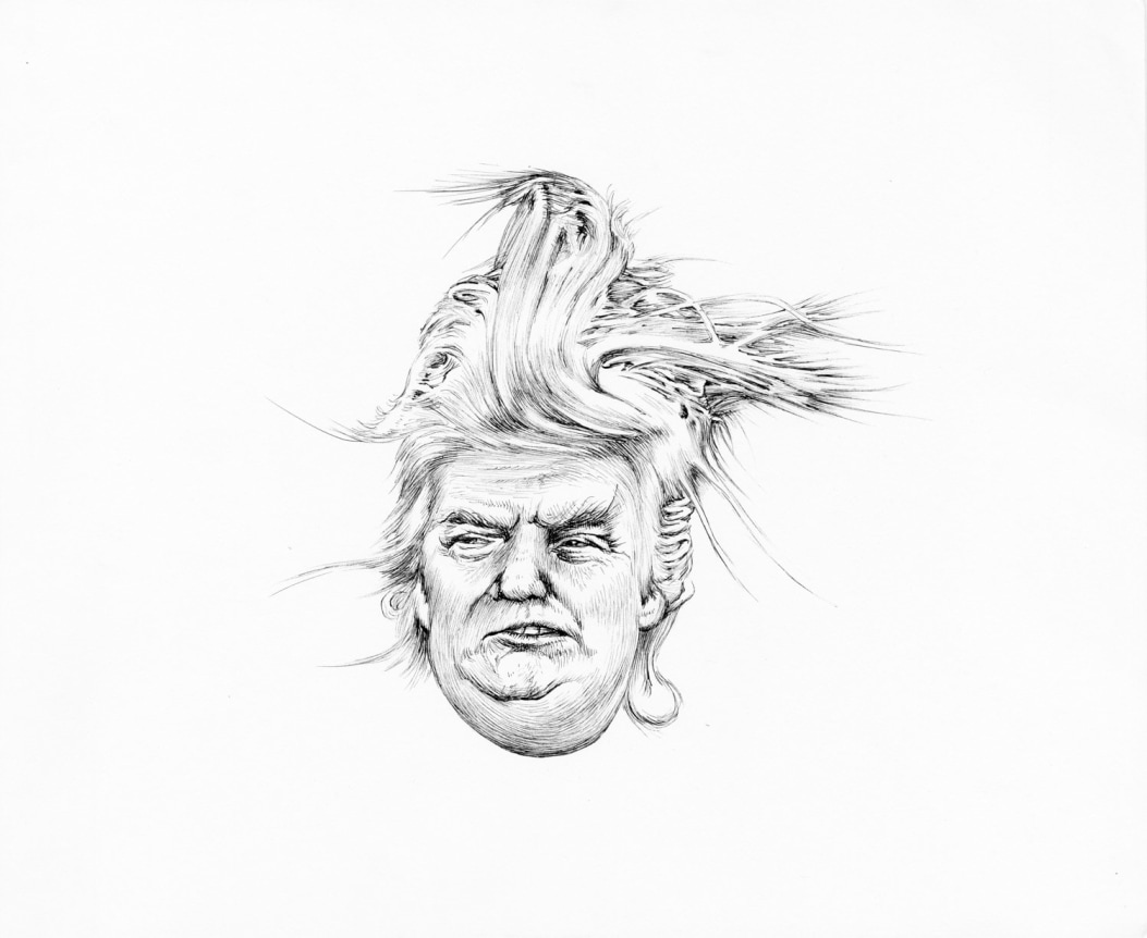 Trump Distortion #3, 2017
