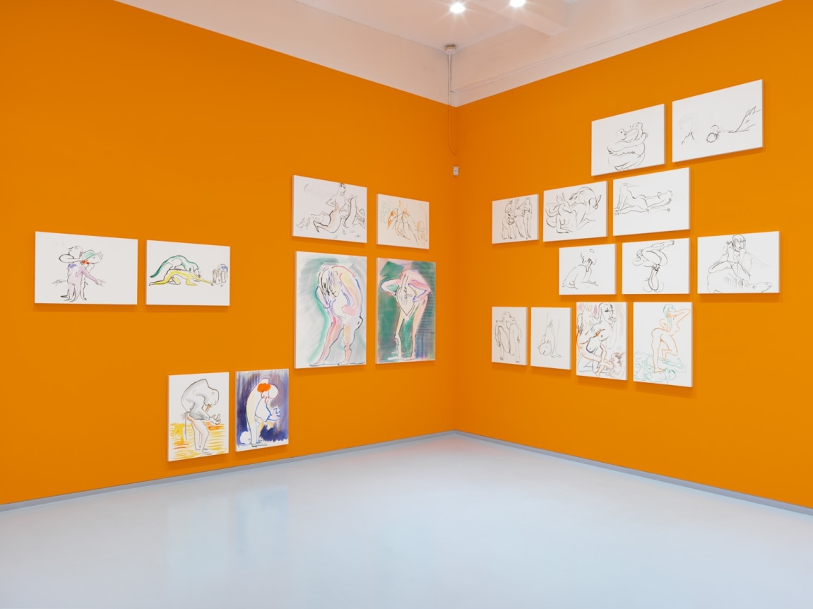 Born, Never Asked. Installation view, 2018. Metro Pictures, New York.