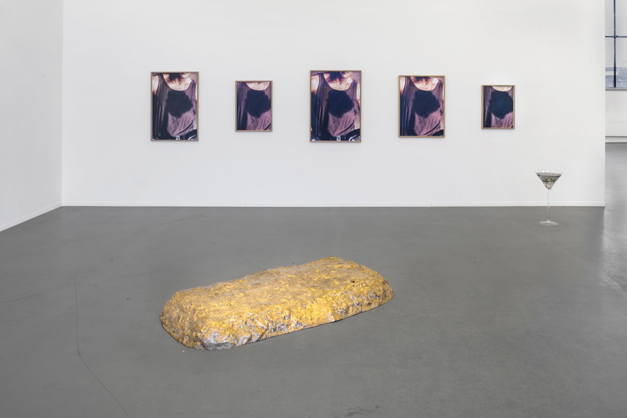 Nina Beier: Cash for Gold, installation view, 2015. Kunstverein Hamburg, Germany.