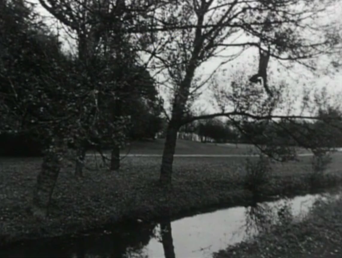 Broken fall (organic), Amsterdamse Bos, Holland, 1971
