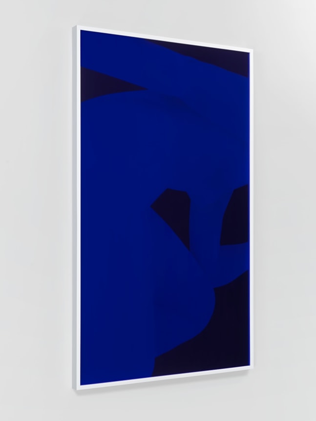 Pink Nude, Blue, 2013. Digital C-print with Blue and Pink Plexi-Glas, 80 x 48 in (203.2 x 121.9 cm).