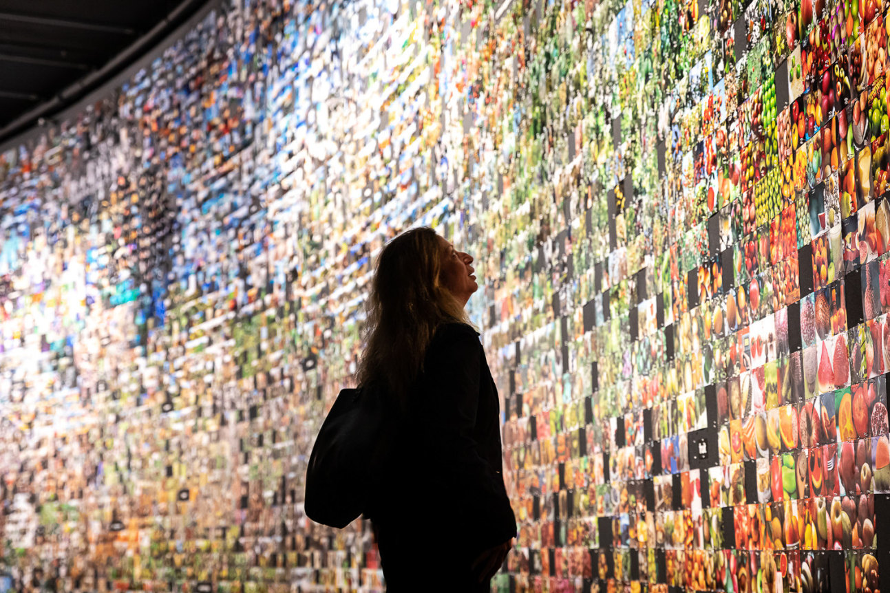 From &#039;Apple&#039; to &#039;Anomaly.&#039; Installation view, 2019. Barbican, London. Photo: Tim P. Whitby, Getty Images.