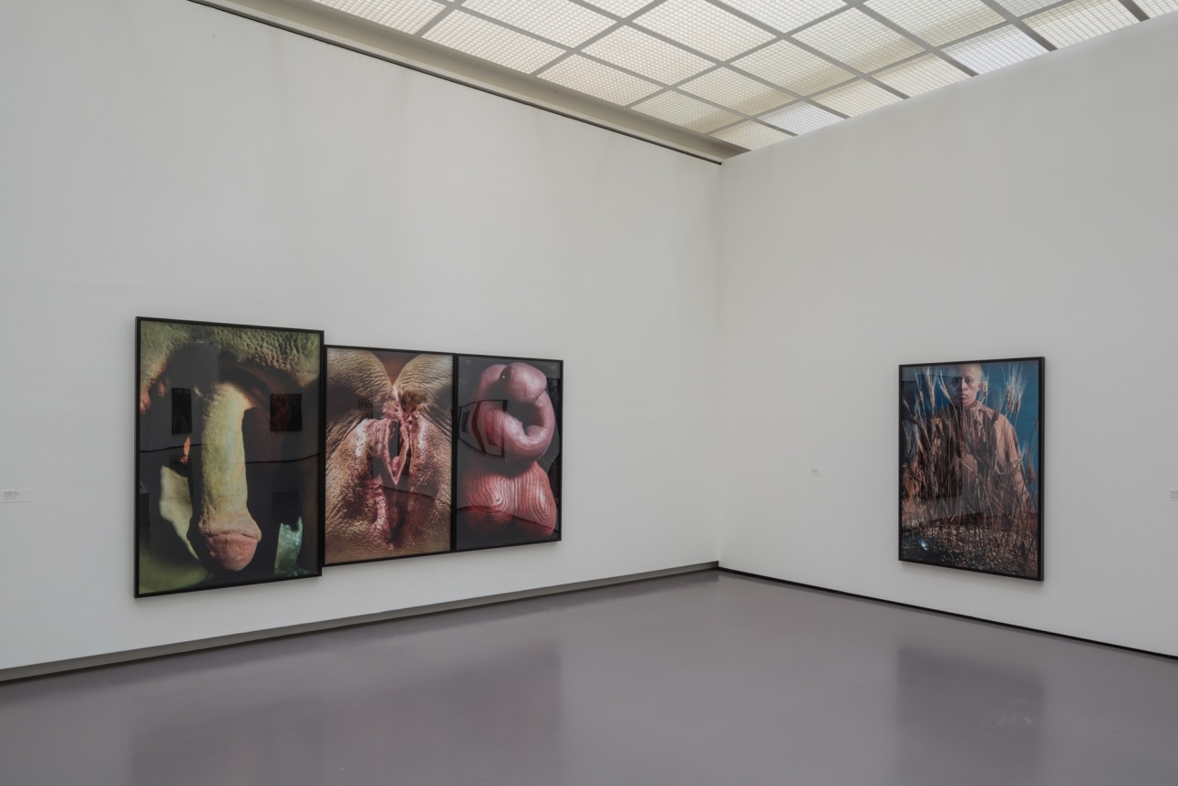 Untitled Horrors. Installation view, 2014. Kunsthaus Zurich.