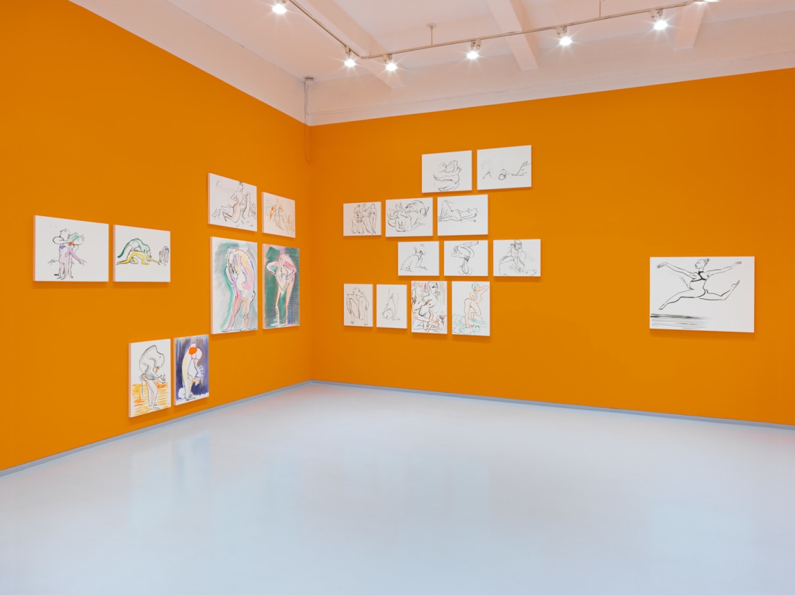 Born, Never Asked. Installation view, 2018. Metro Pictures, New York.