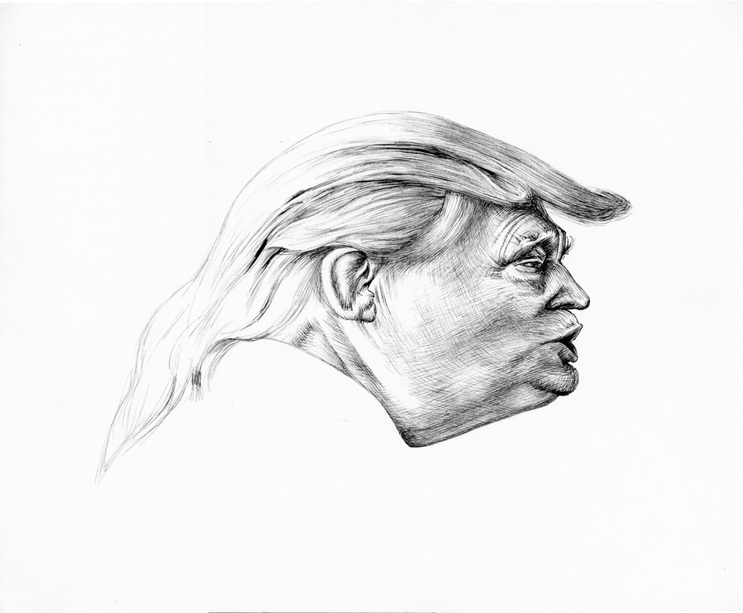 Trump Distortion #1, 2017