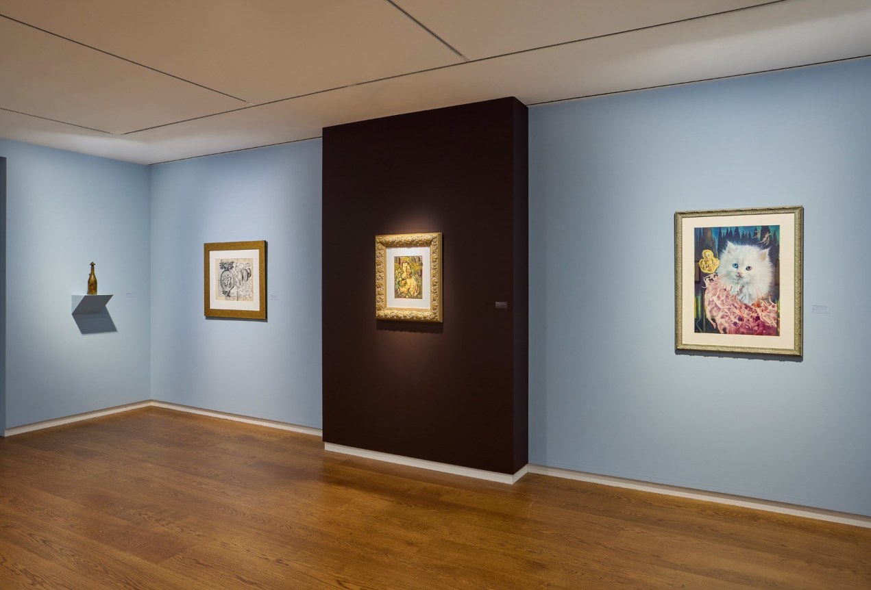 Installation Photo 12