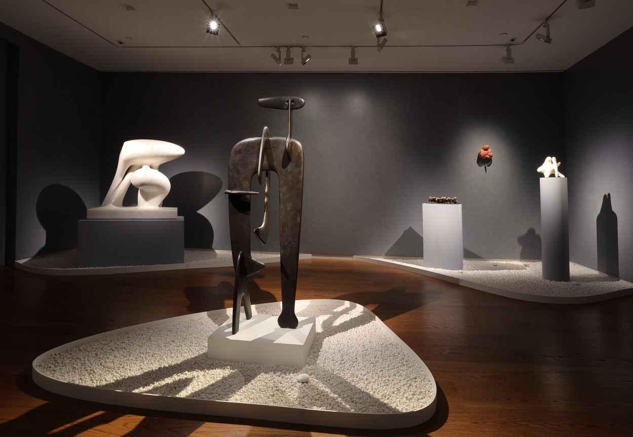 The Life of Forms, Installation View