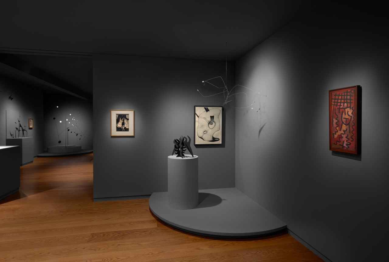 Enchanted Reverie: Klee and Calder Installation Image 9