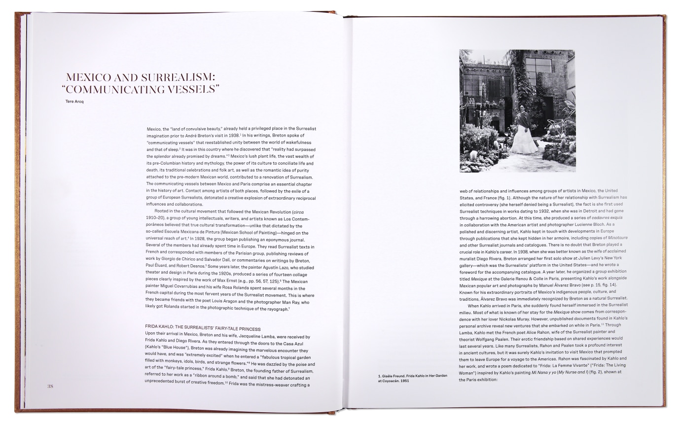 Surrealism in Mexico Interior Book Image #4