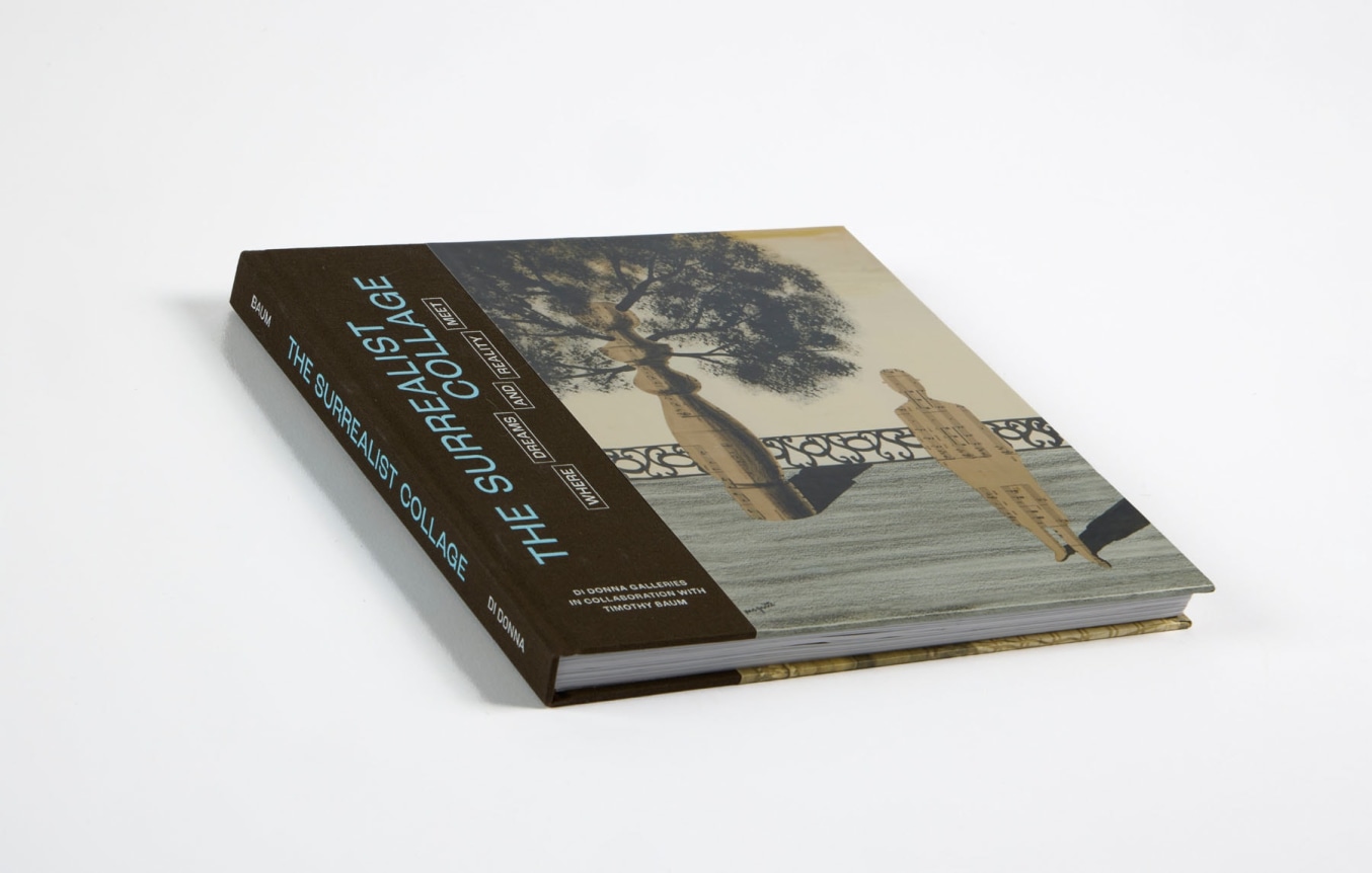 Surrealist Collage Image