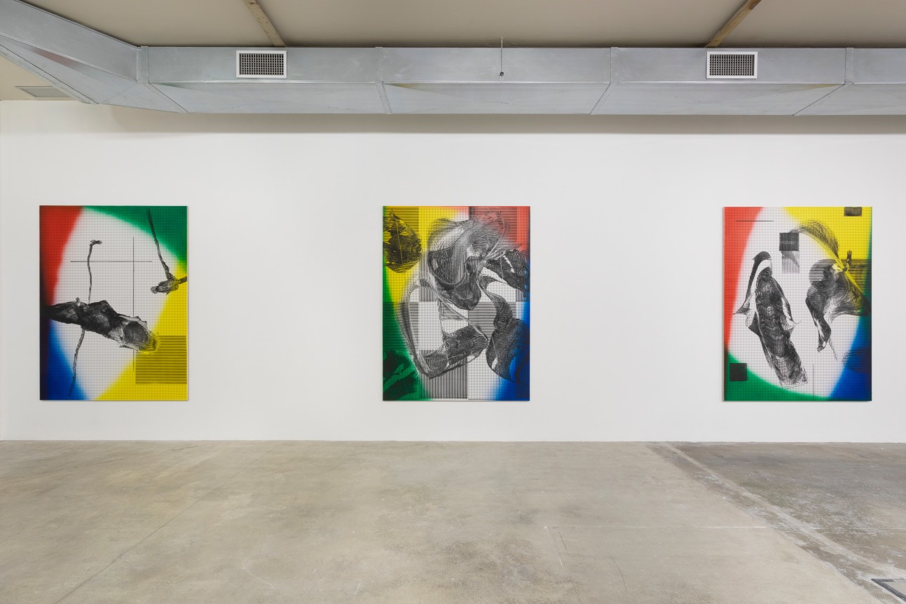 Cheyney Thompson, To These Arcs, Those Colors Measure This Touch, That Time