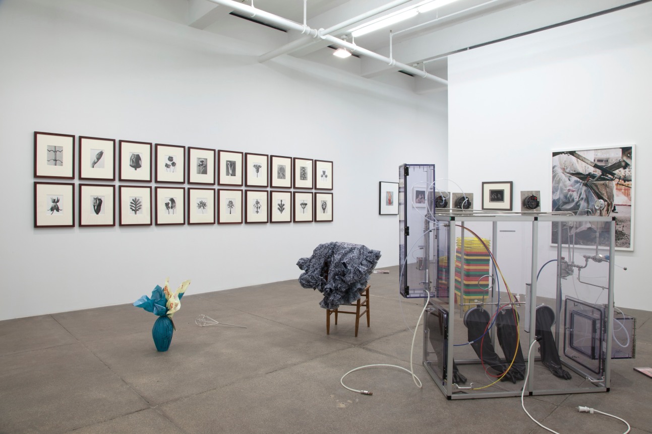 Andrew Kreps Gallery, New York

