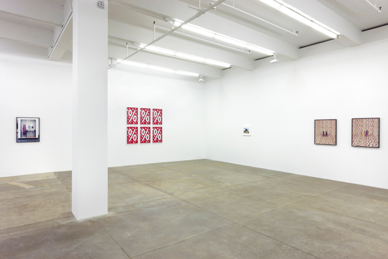 Annette Kelm  September 12 - November 2, 2013, Andrew Kreps Gallery, 537 W 22nd Street, New York