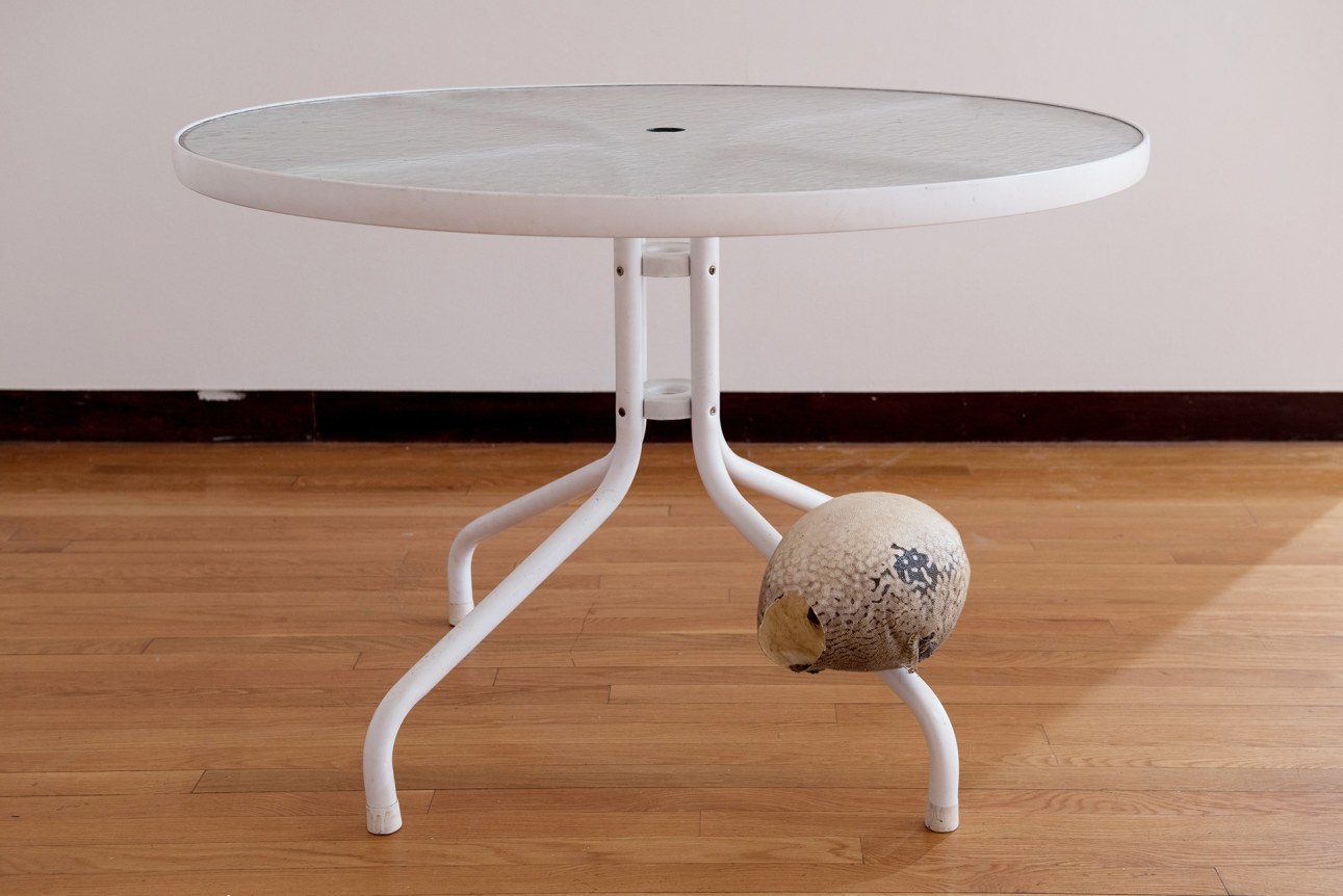  p.p1 {margin: 0.0px 0.0px 0.0px 0.0px; font: 12.0px Arial}
