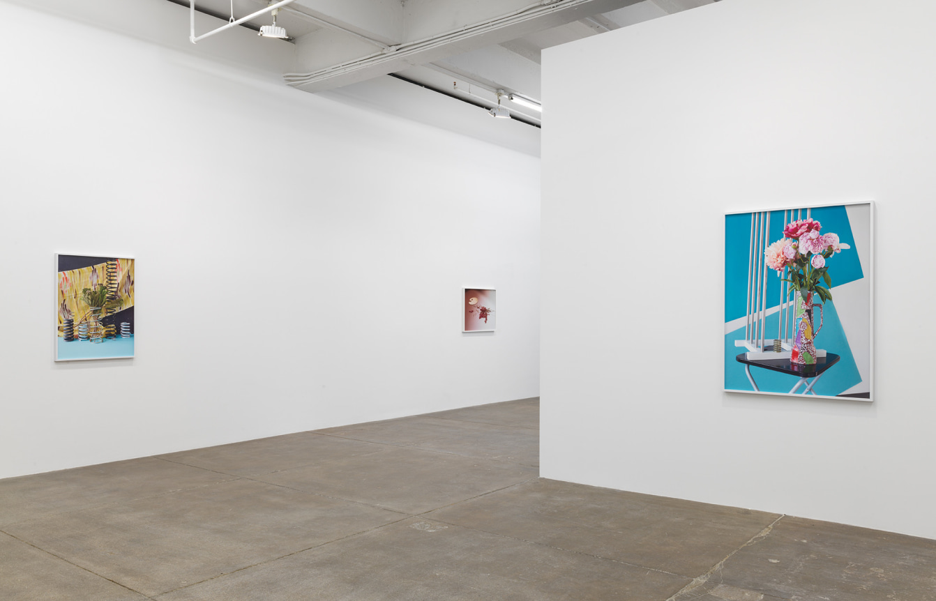 Annette Kelm, Knots, April 7 - May 12, 2018, Andrew Kreps Gallery, 537 W 22nd Street, New York