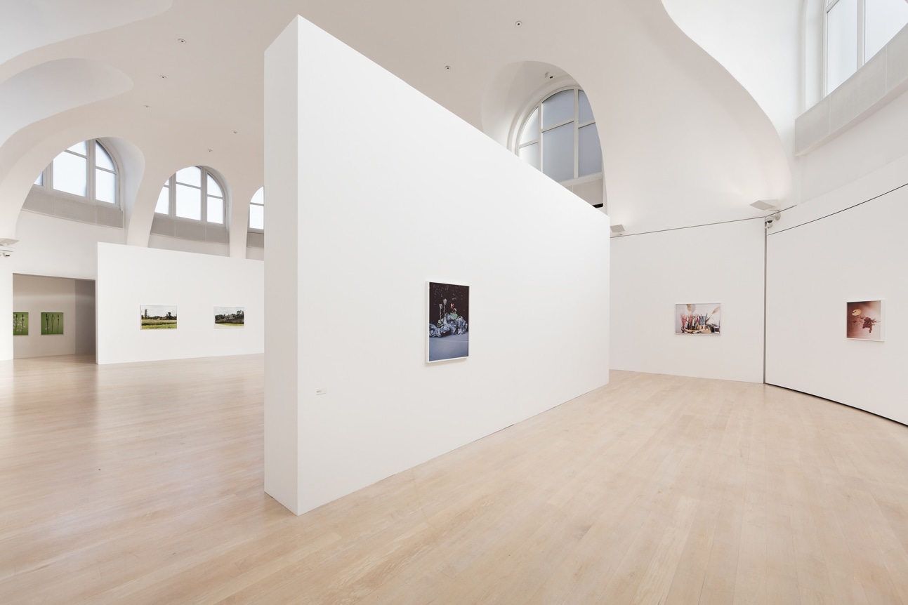 Annette Kelm, Leaves, March 11 - May 7, 2017, Kestnergesellschaft, Hannover, Germany
