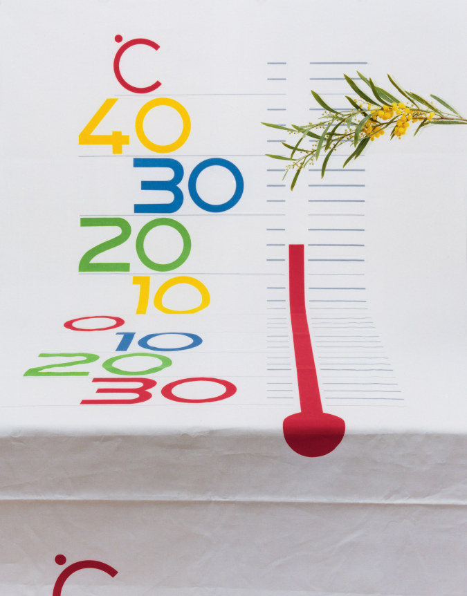 Annette Kelm  Thermometer, 2013