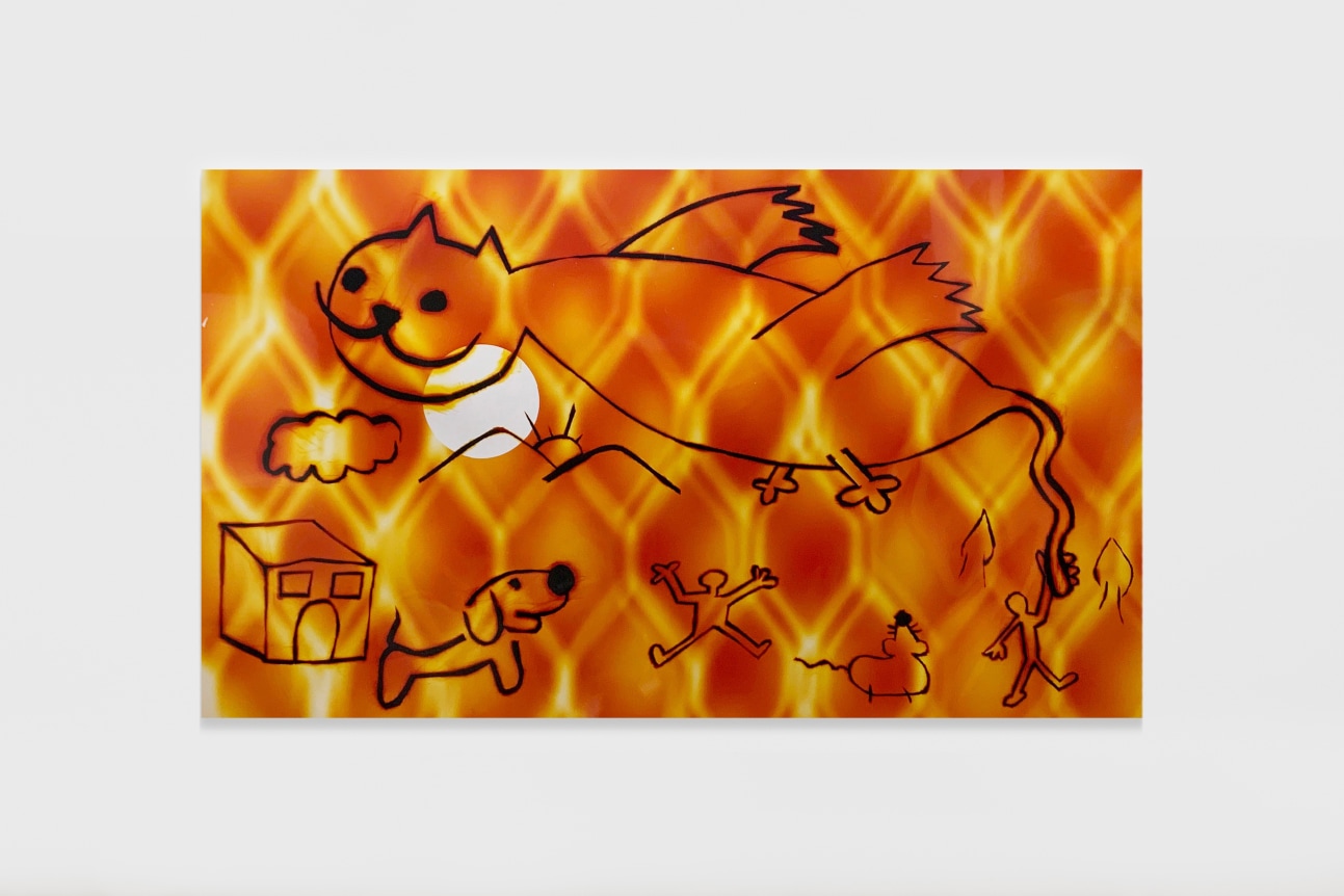 Hadi Falapishi Cat Going to America, 2021