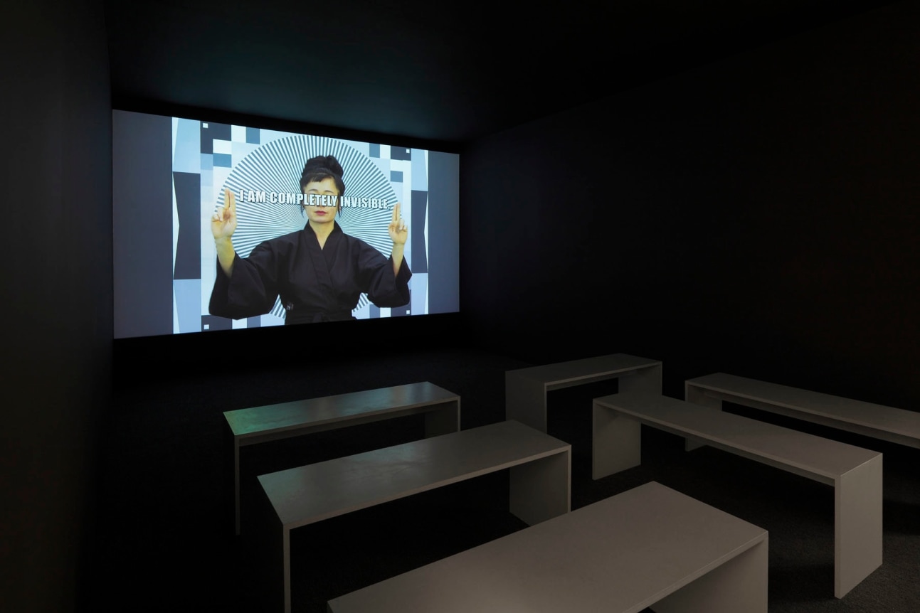 Hito Steyerl, How Not to Be Seen: A Fucking Didactic Educational Installation