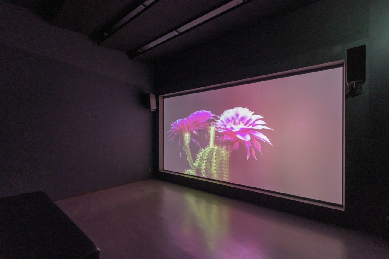 Hito Steyerl This is the Future, 2019