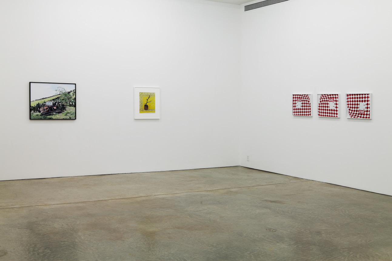 Annette Kelm, Today October 28 - December 22, 2010, Andrew Kreps Gallery, 525 W 22nd Street, New York 