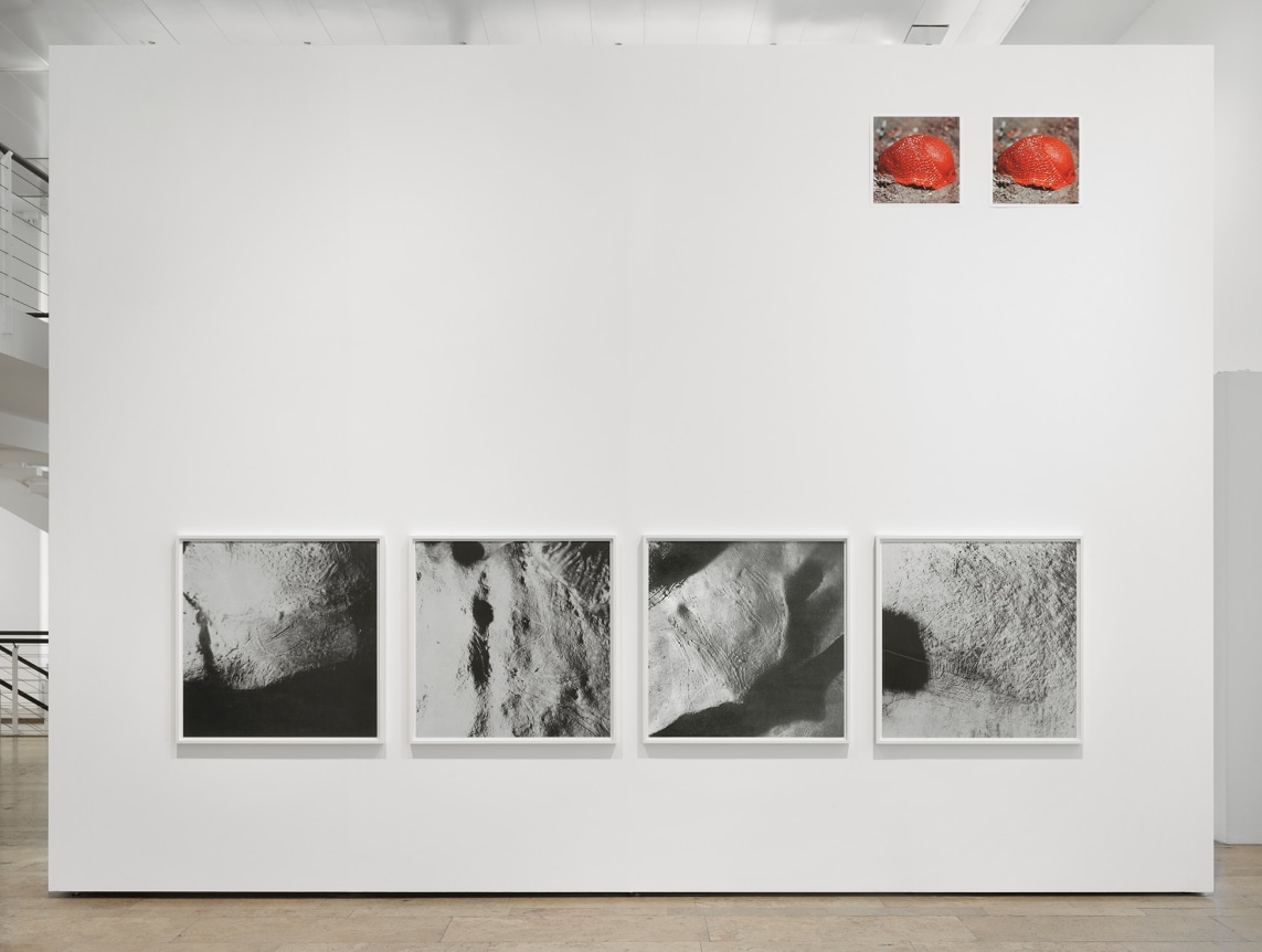 Geduld, Capitain Petzel, Berlin, Germany