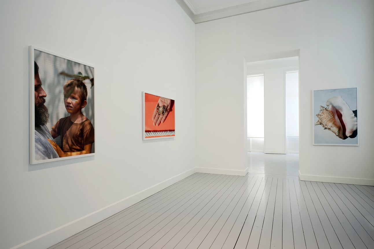 ROE ETHRIDGE - Artists - Andrew Kreps Gallery