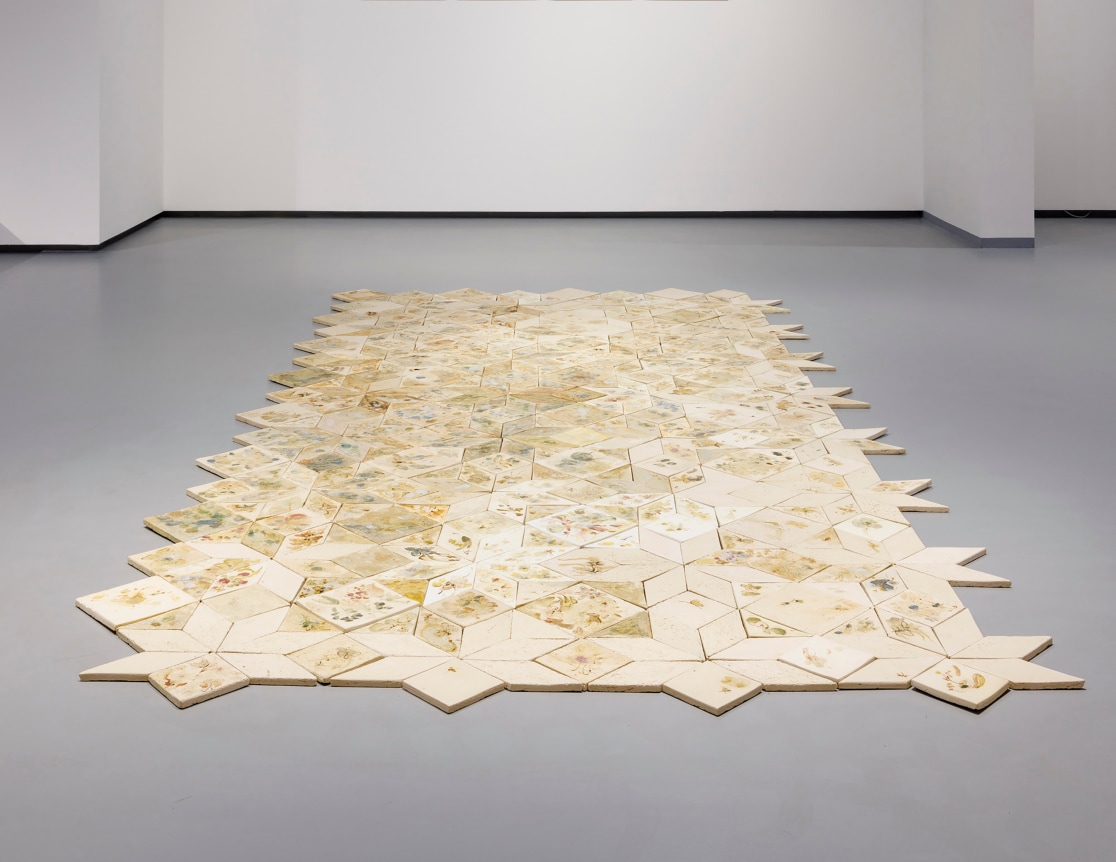 Chiara Camoni Pavimento (per Clarice 02)&nbsp;/ Floor (for Clarice 02), 2023
