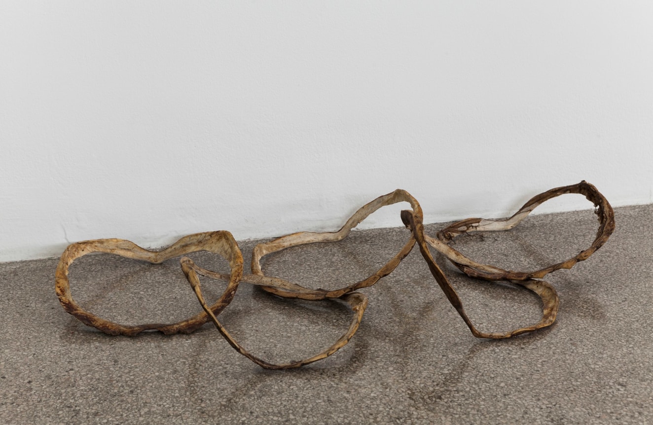 Michael E. Smith, Untitled, 2020