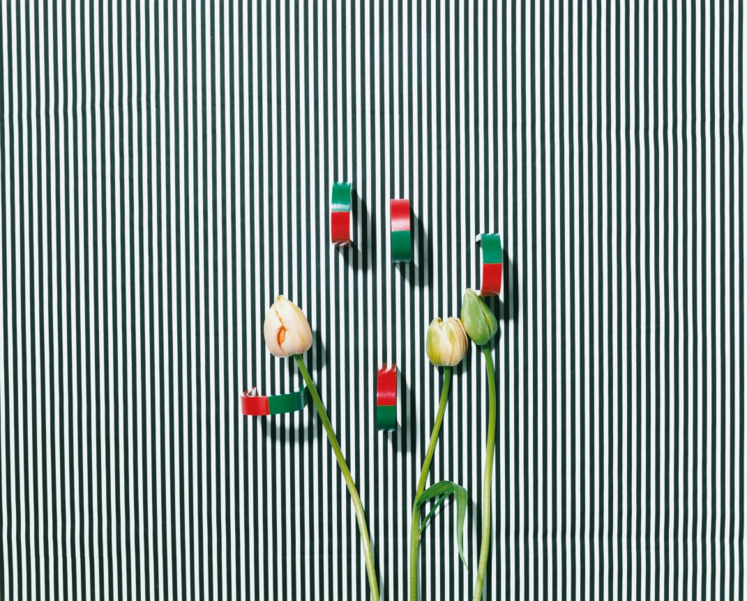 Annette Kelm  Untitled (Tulpe, Magnete), 2013
