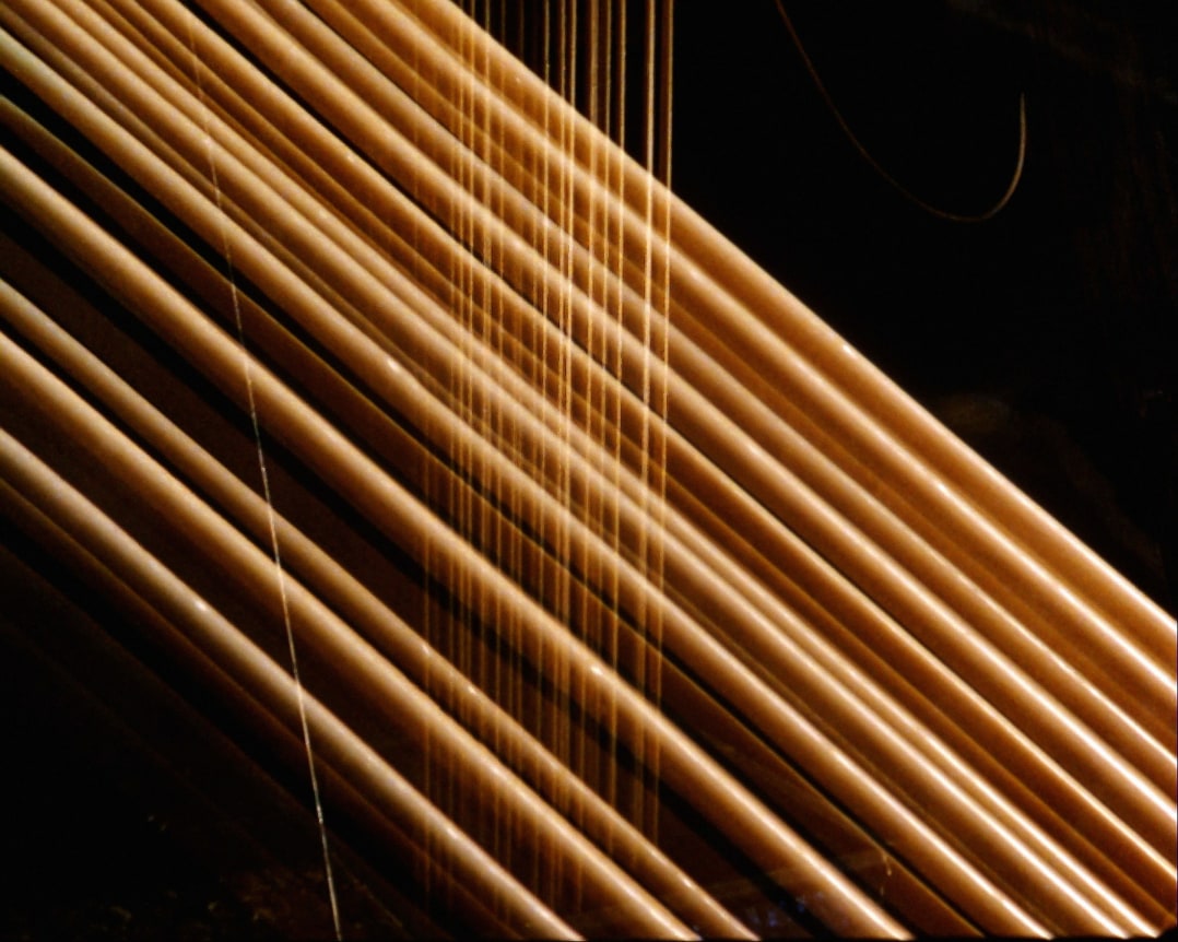 Jo&atilde;o Maria Gusm&atilde;o + Pedro Paiva
