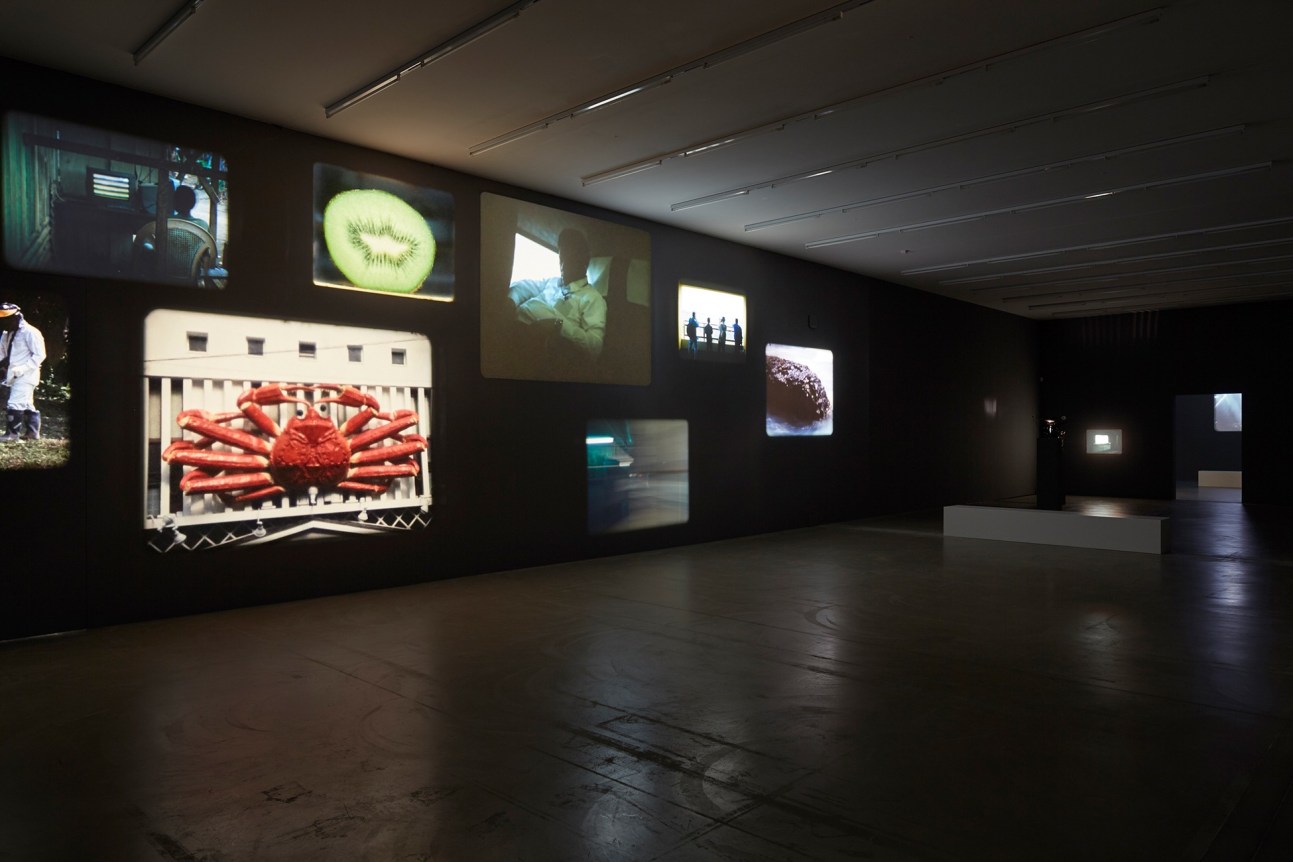 Jo&atilde;o Maria Gusm&atilde;o + Pedro Paiva,&nbsp;The Sleeping Eskimo
