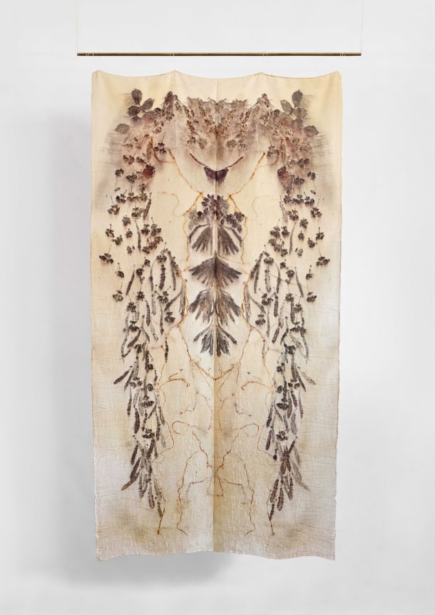 Chiara Camoni Genders of the forest, Basel 01, 2024