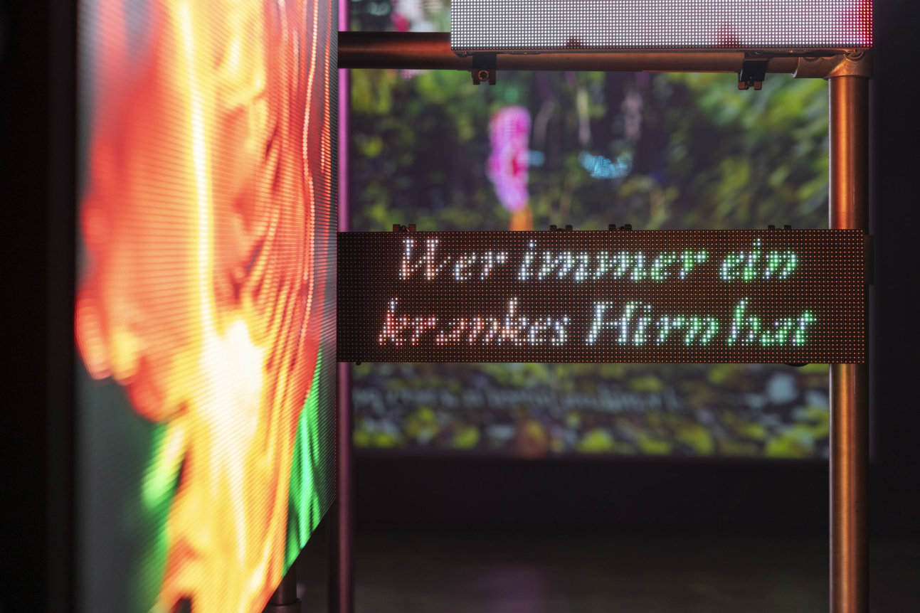 Hito Steyerl This is the Future, 2019