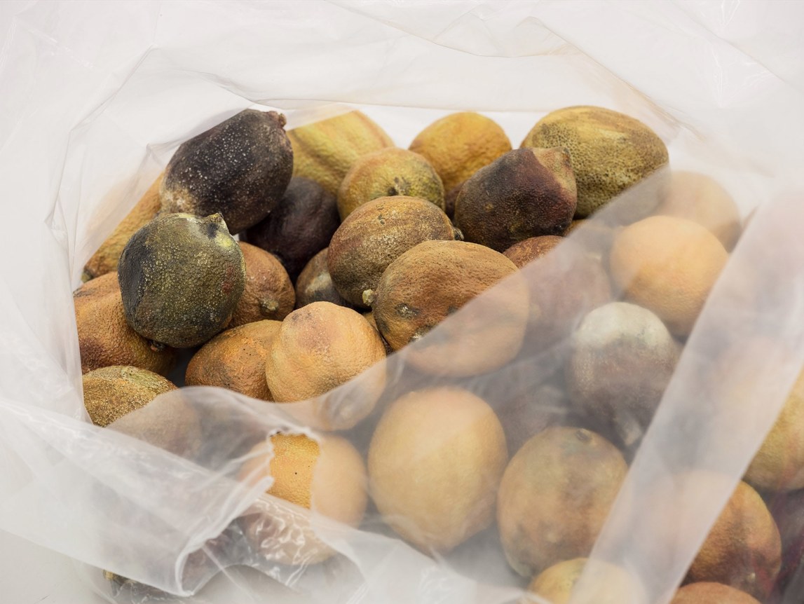 He Xiangyu Lemon Pickers, 2018